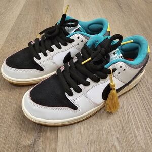 Nike SB Teal and Black Skate Shoes
